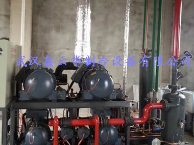 铜川湖北省某水产公司32吨速冻冷库